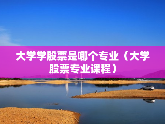 大学学股票是哪个专业（大学股票专业课程）