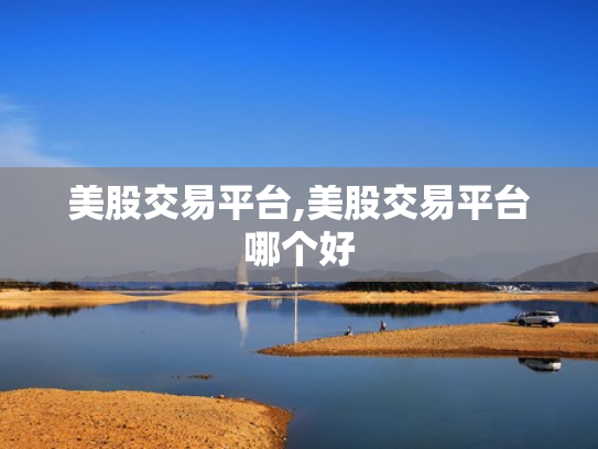 美股交易平台,美股交易平台哪个好