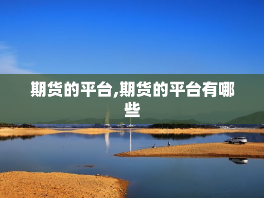 期货的平台,期货的平台有哪些