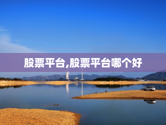 股票平台,股票平台哪个好