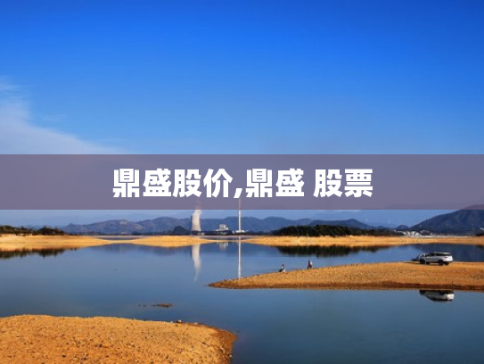 鼎盛股价,鼎盛 股票