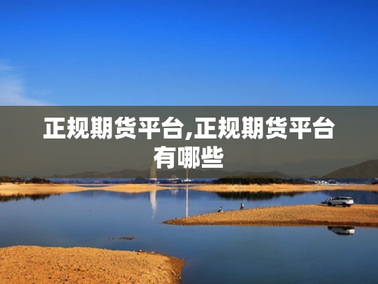 正规期货平台,正规期货平台有哪些
