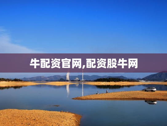 牛配资官网,配资股牛网