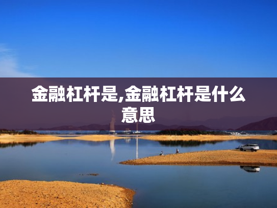 金融杠杆是,金融杠杆是什么意思