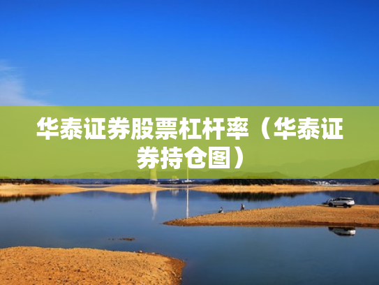 华泰证券股票杠杆率（华泰证券持仓图）