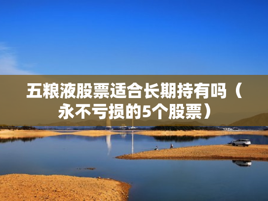 五粮液股票适合长期持有吗（永不亏损的5个股票）