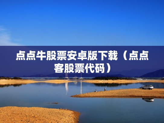 点点牛股票安卓版下载（点点客股票代码）