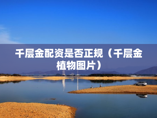 千层金配资是否正规（千层金植物图片）
