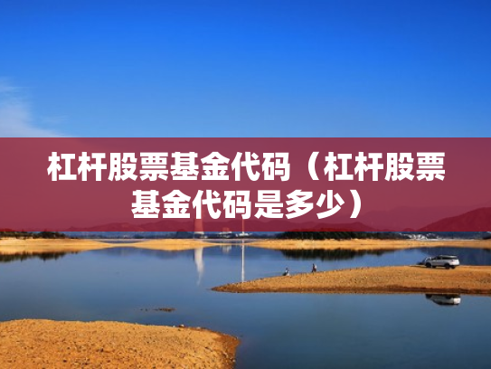 杠杆股票基金代码（杠杆股票基金代码是多少）