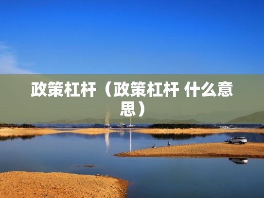 政策杠杆（政策杠杆 什么意思）
