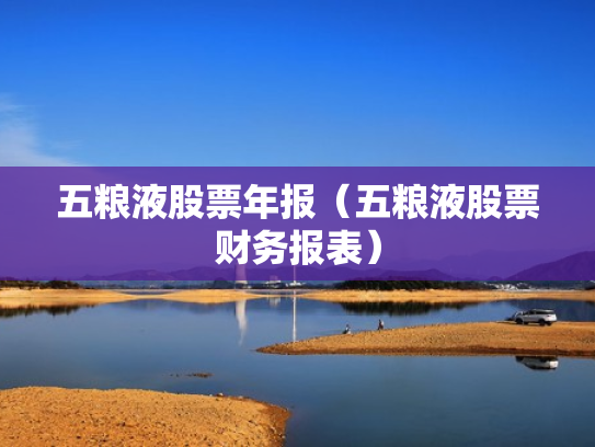 五粮液股票年报（五粮液股票财务报表）