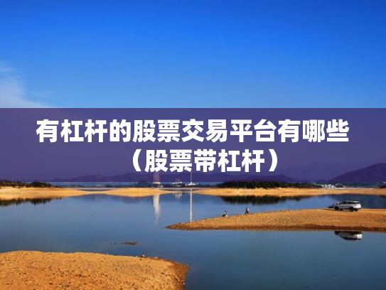 有杠杆的股票交易平台有哪些（股票带杠杆）