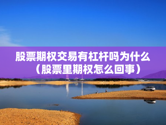 股票期权交易有杠杆吗为什么（股票里期权怎么回事）