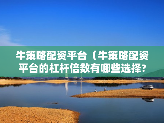 牛策略配资平台（牛策略配资平台的杠杆倍数有哪些选择?）