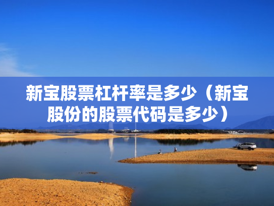 新宝股票杠杆率是多少（新宝股份的股票代码是多少）