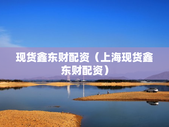 现货鑫东财配资（上海现货鑫东财配资）