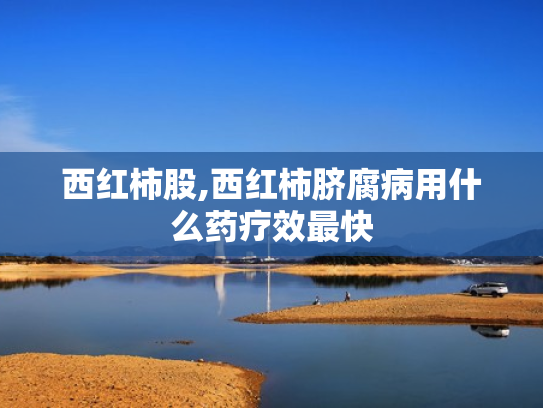 西红柿股,西红柿脐腐病用什么药疗效最快